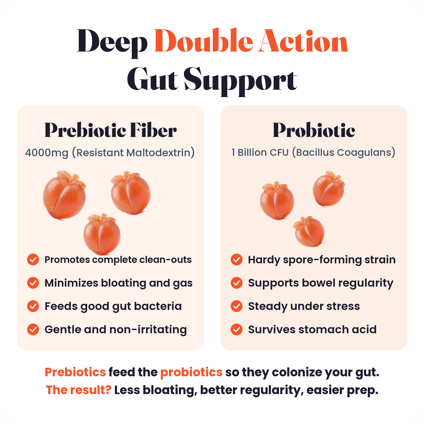 Deep double action gut support: prebiotic fiber and probiotic benefits